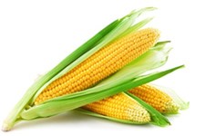 Fresh corn delivery Uganda